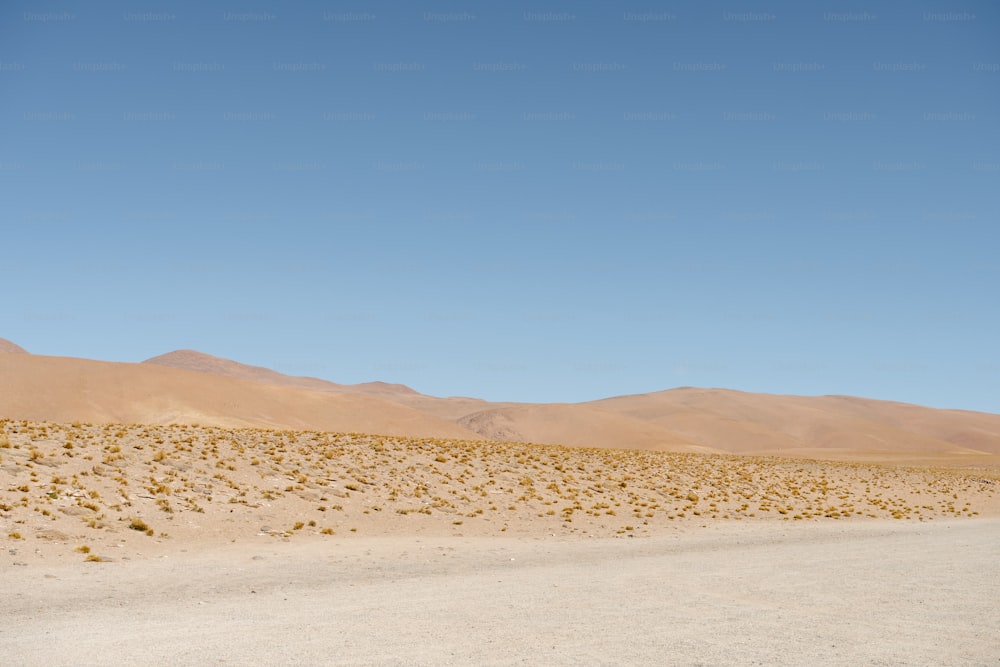 Un camino de tierra en medio de un desierto