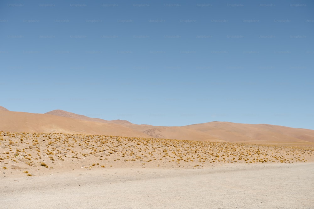 a dirt road in the middle of a desert