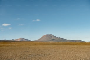 a large open field with a mountain in the background