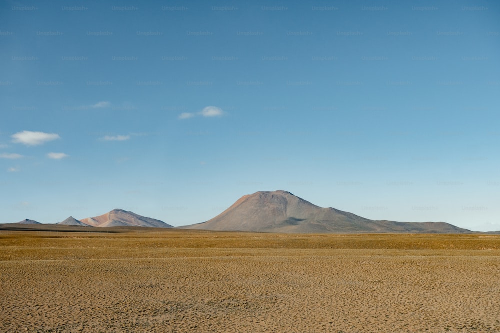 a large open field with a mountain in the background