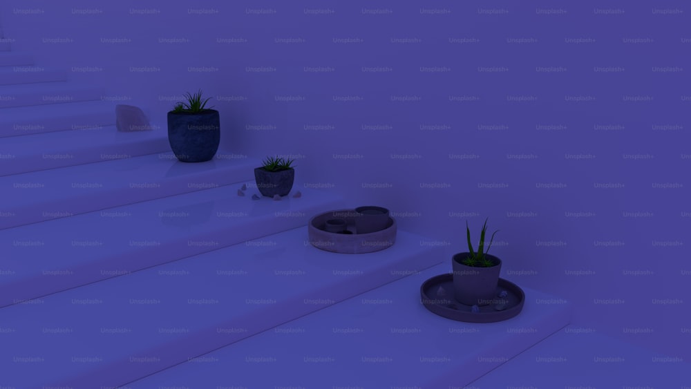 um conjunto de escadas brancas com plantas sobre elas