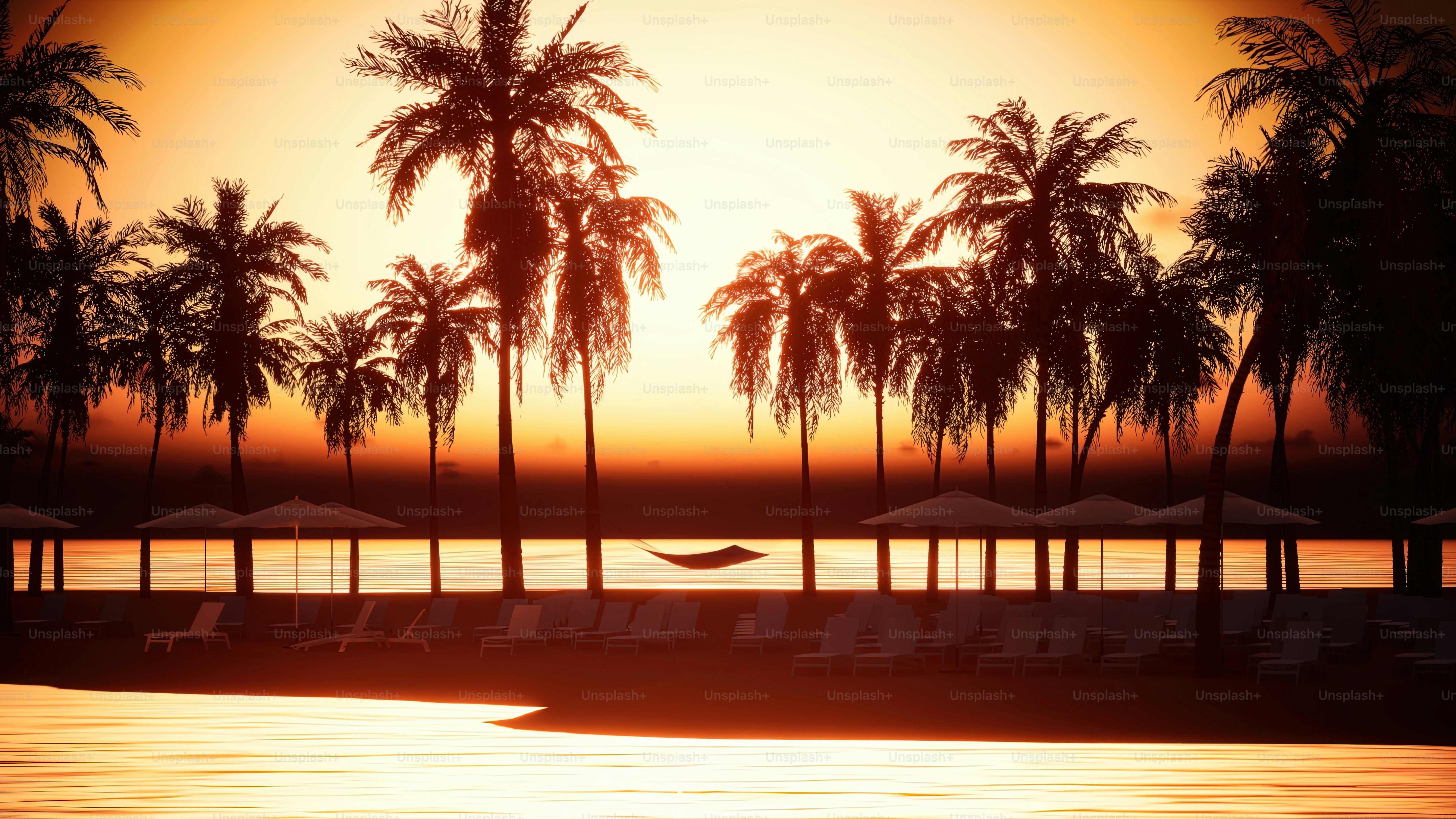 the sun is setting over the water and palm trees