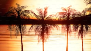 Trois palmiers se profilent contre le soleil couchant
