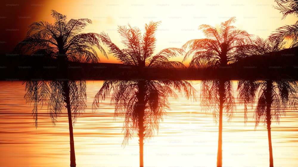 three palm trees are silhouetted against the setting sun