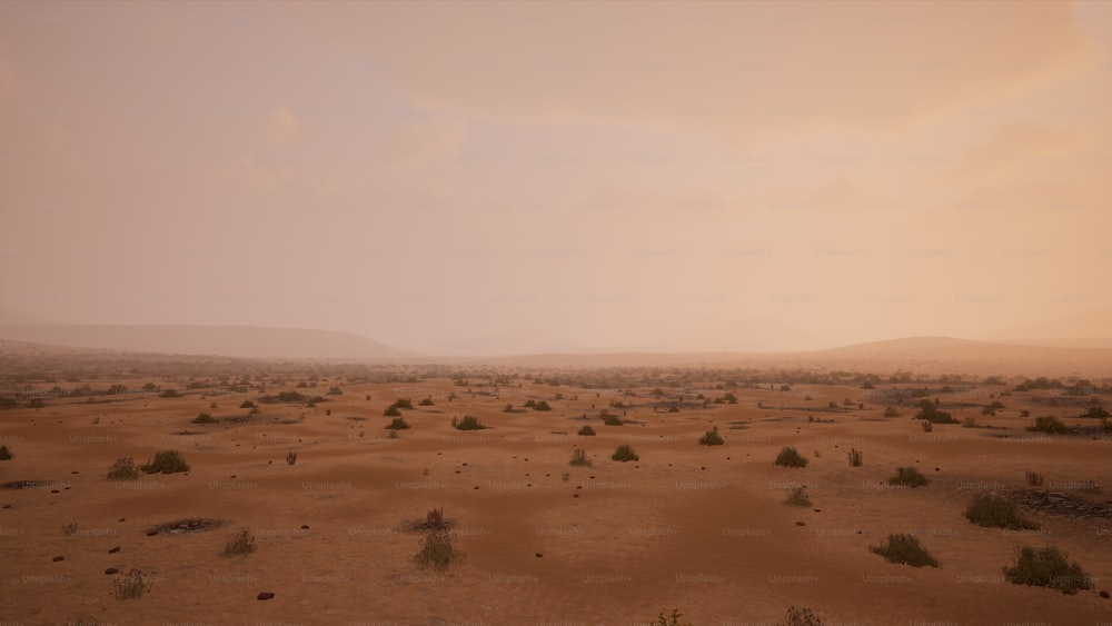 Un paysage désertique avec des arbres clairsemés au loin