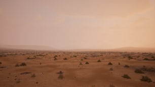 a desert landscape with sparse trees in the distance