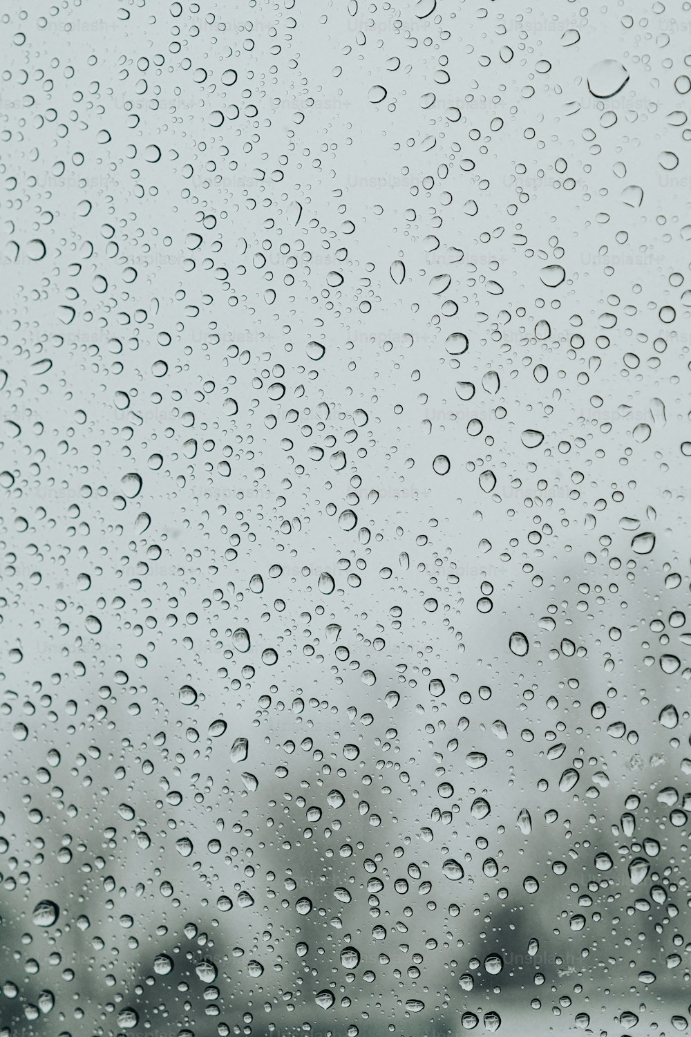 Regentropfen auf ein Fenster mit Bäumen im Hintergrund