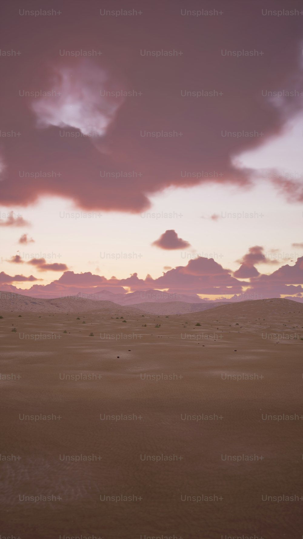 사막 한가운데에 서 있는 외로운 말
