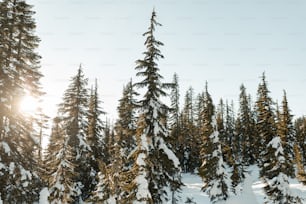 Una persona montando esquís sobre una superficie nevada