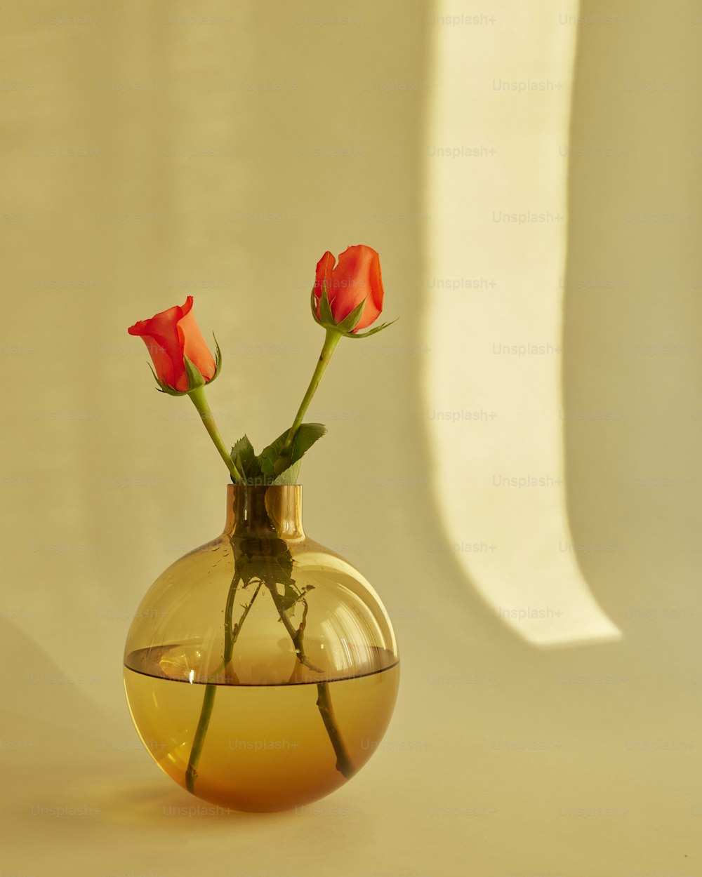 un jarrón de vidrio con tres rosas rojas