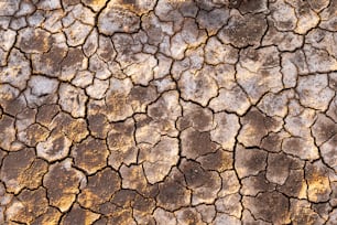 a close up of a cracked surface of dirt