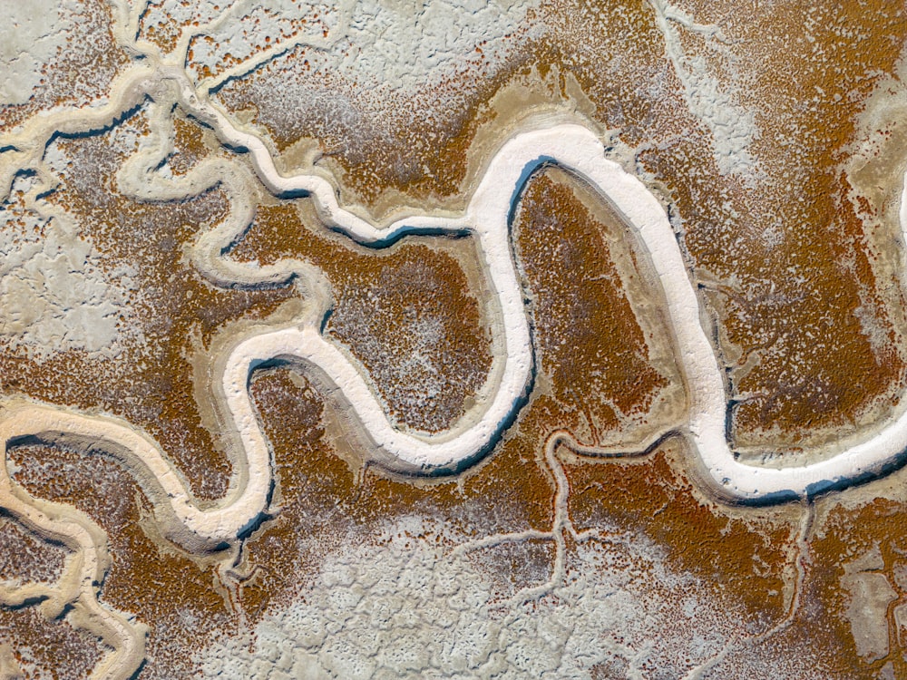 Ein Bild von einer Schlange im Schnee