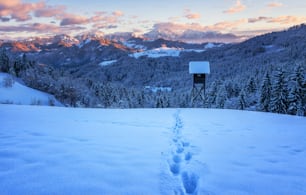 a trail in the snow leading to a sign