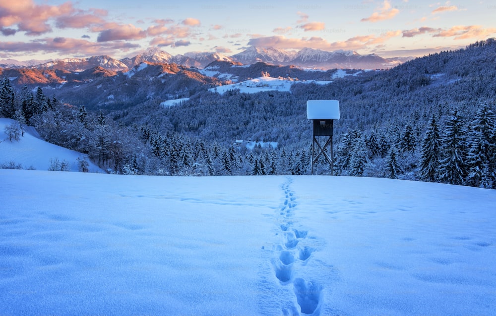 a trail in the snow leading to a sign