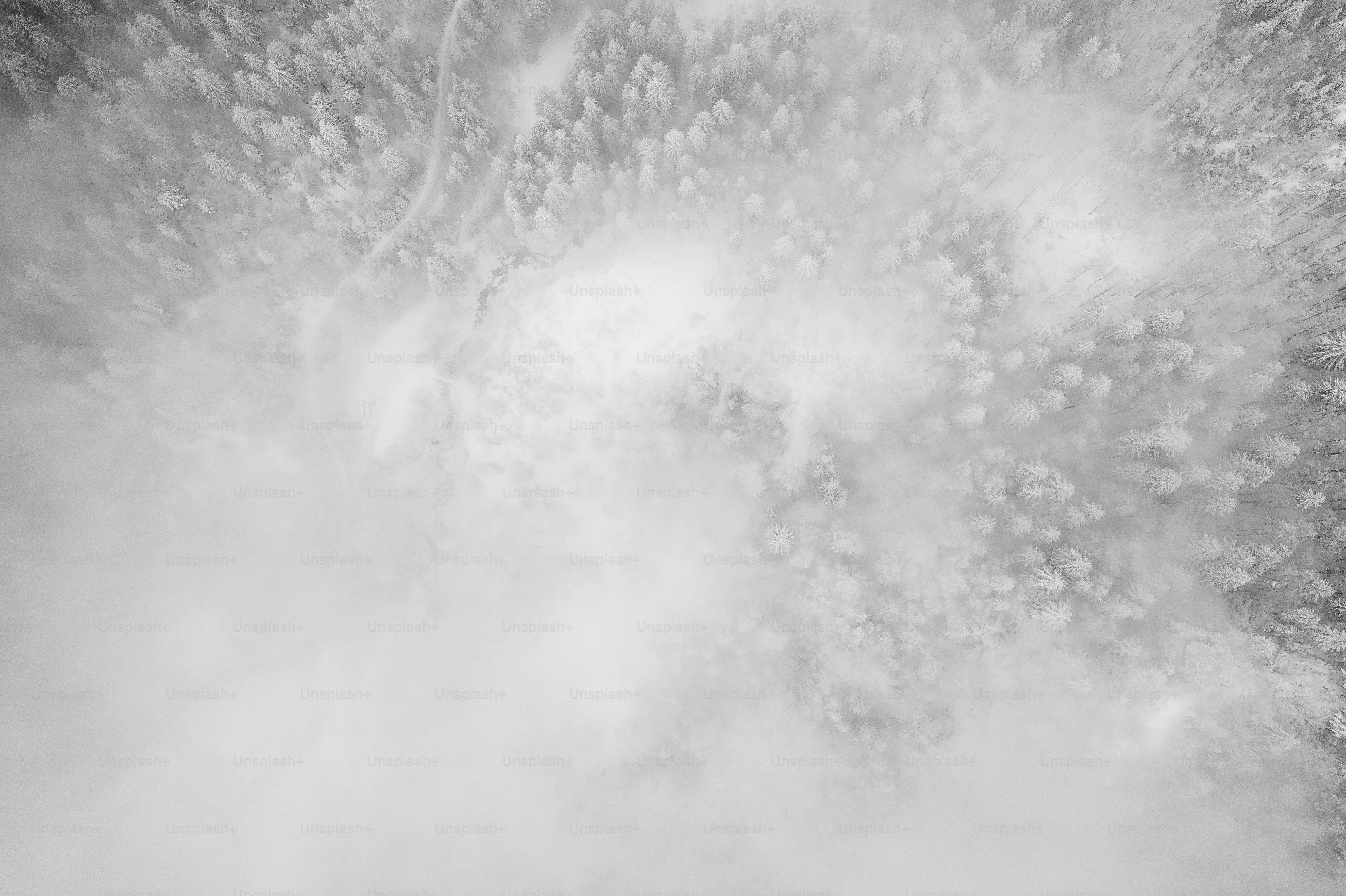 Una foto in bianco e nero di nuvole e alberi