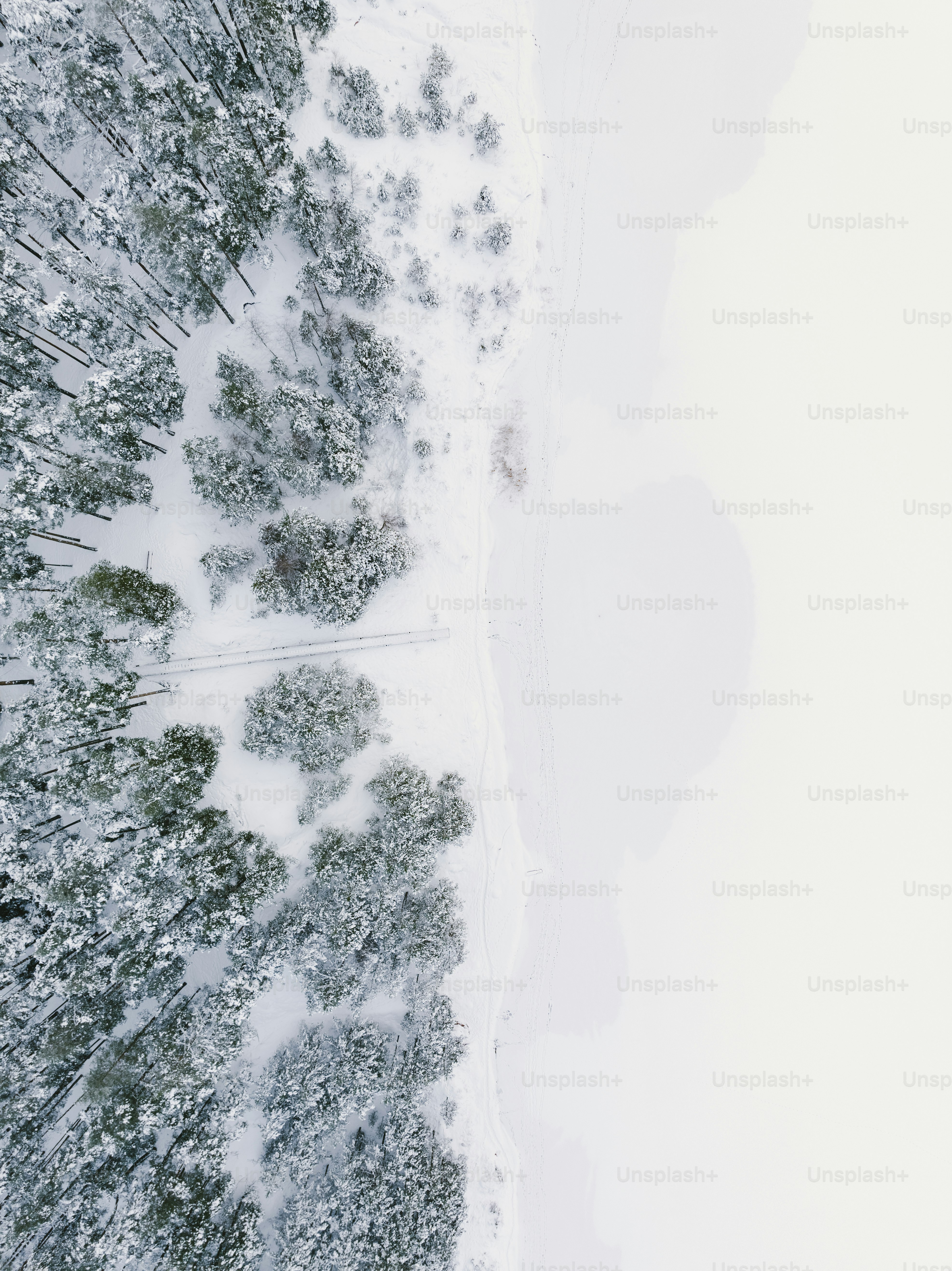 An aerial view of a forest covered in snow photo – Lookout Image on ...