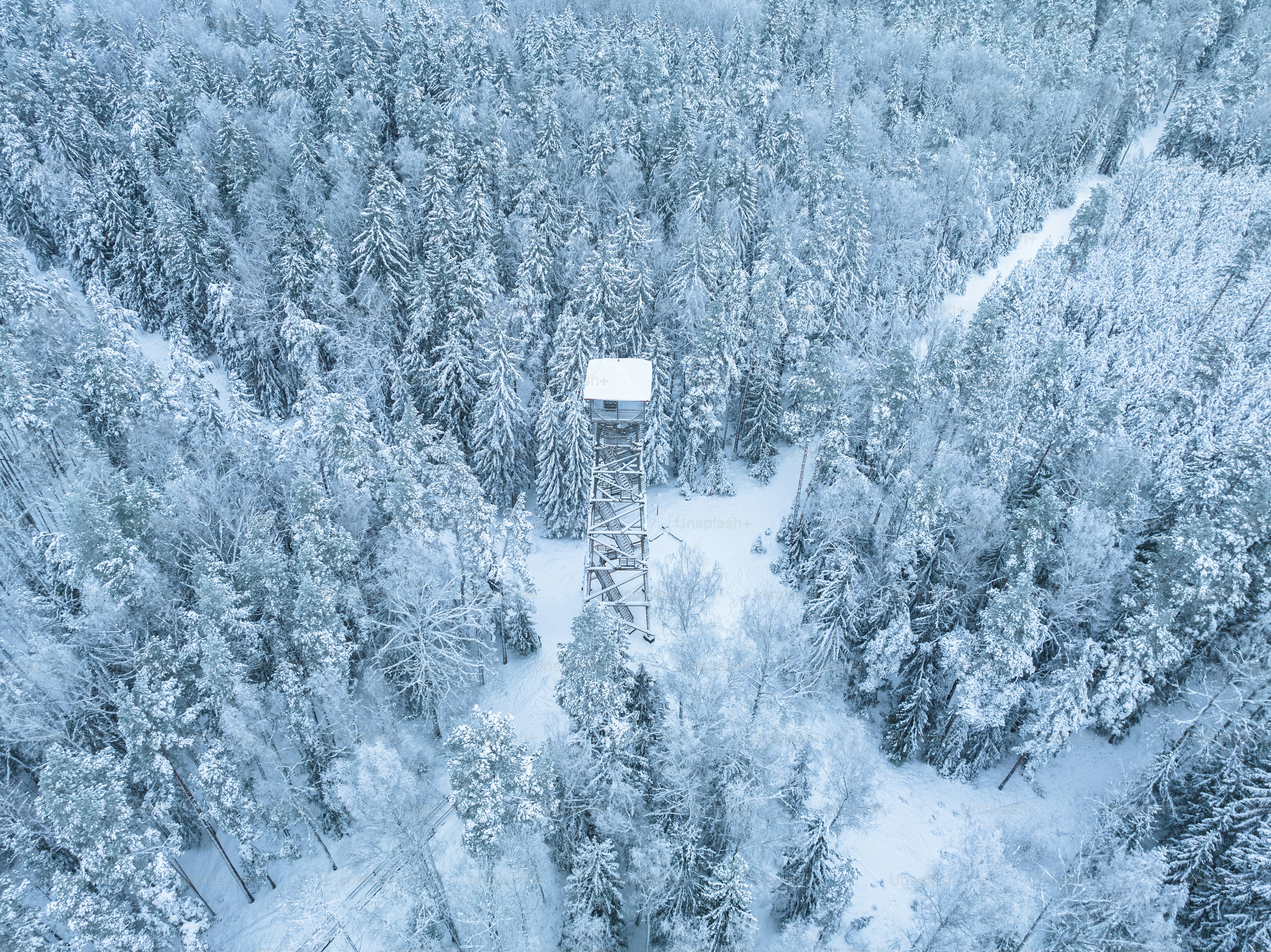 an aerial view of a forest covered in snow