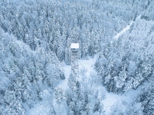 an aerial view of a forest covered in snow