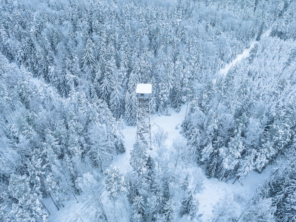 Luftaufnahme eines schneebedeckten Waldes