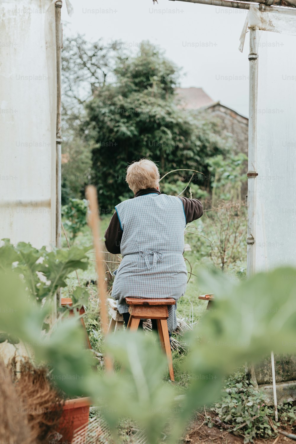 a person sitting in a chair in a garden
