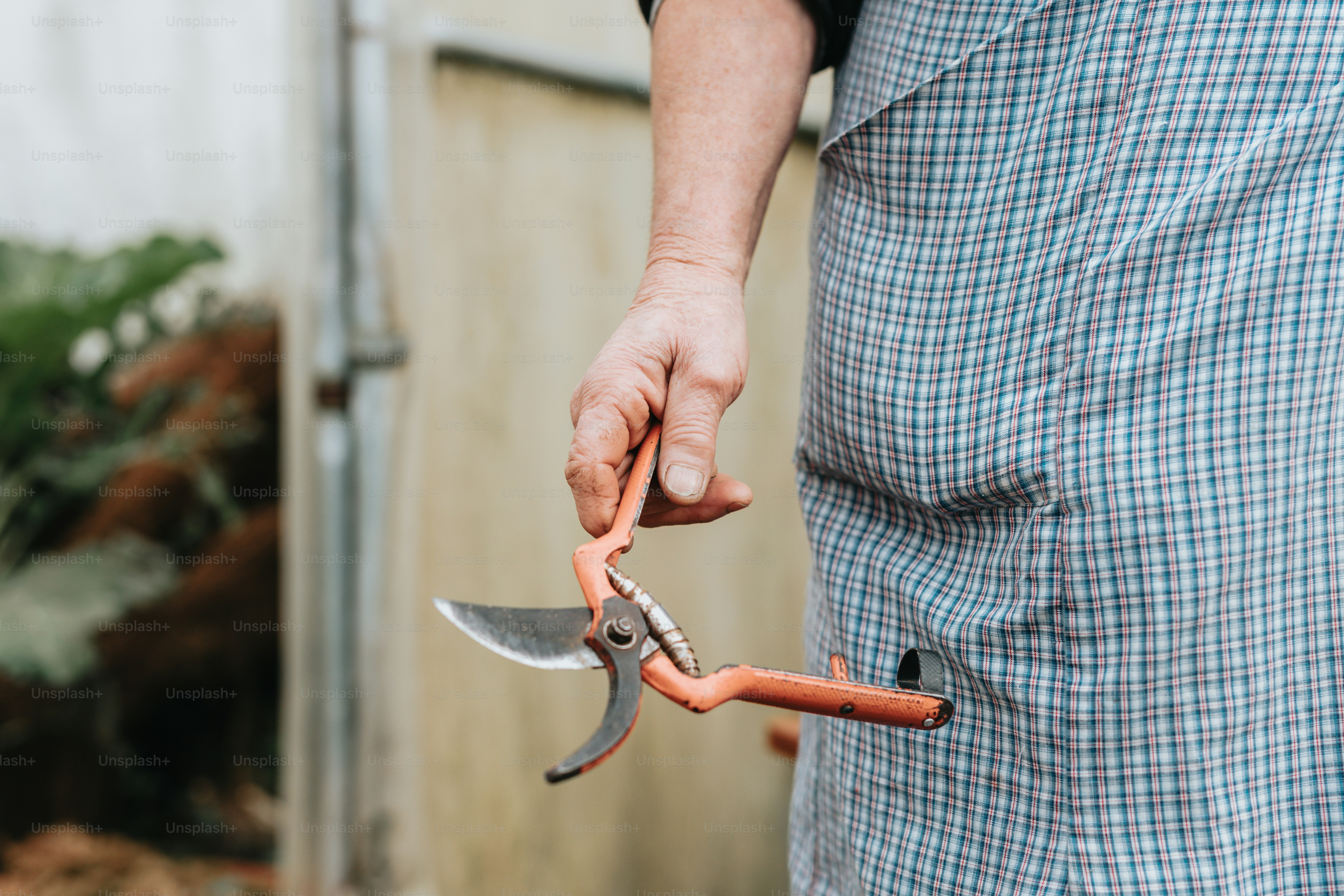a man holding a pair of scissors and a carrot