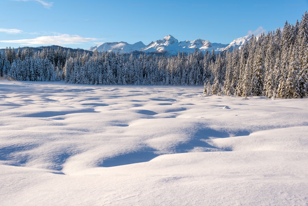 a snow covered field with trees and mountains in the background