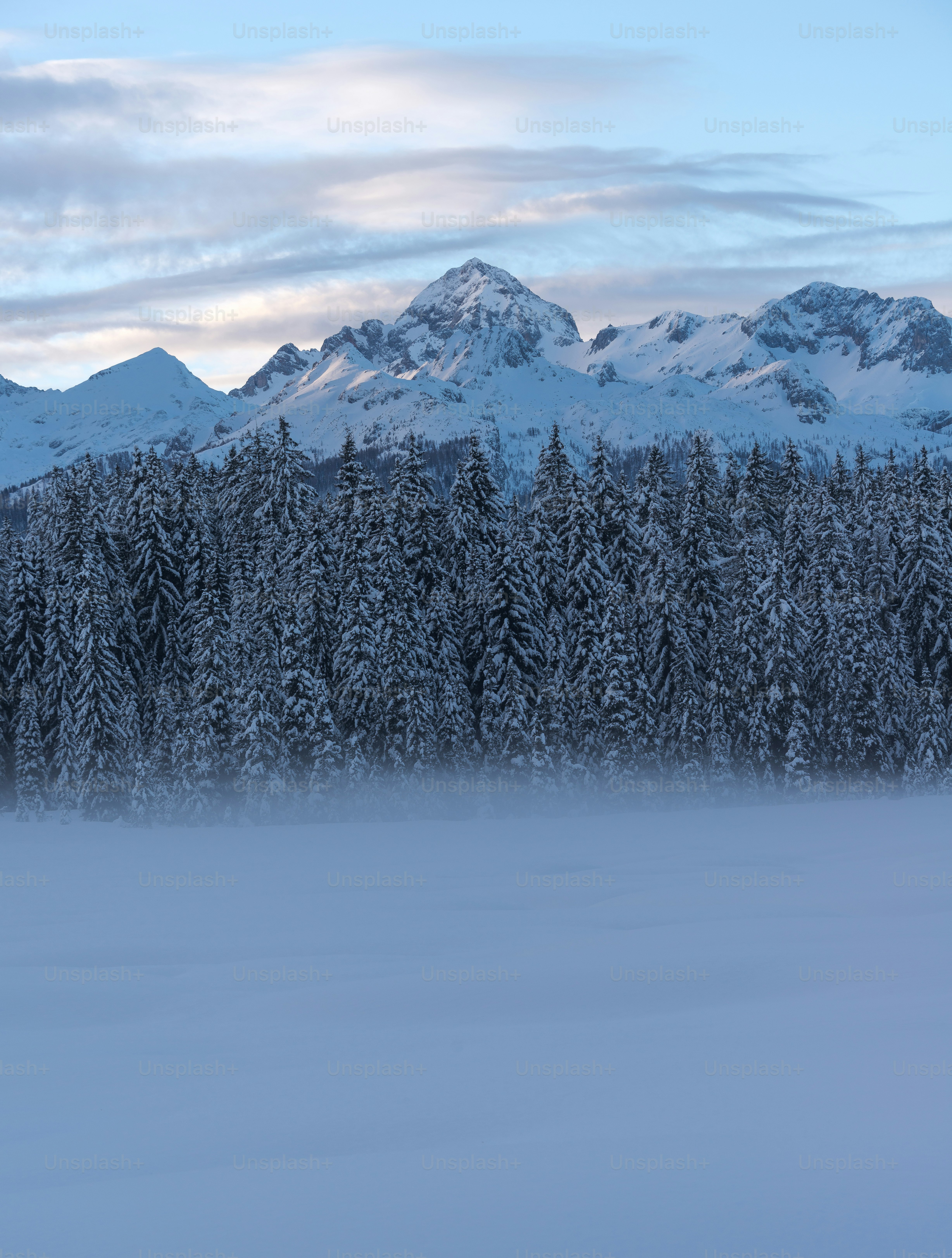 A snowy landscape with trees and mountains in the background photo ...