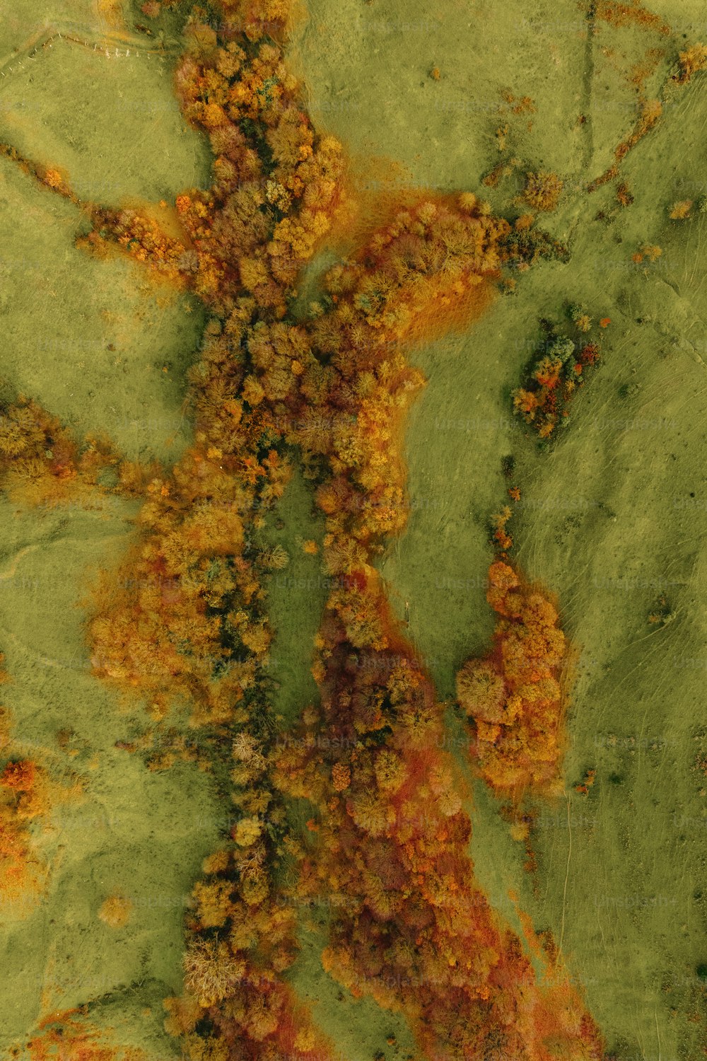 una veduta aerea di un'area verde e gialla