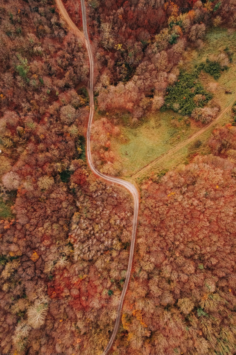 a winding road in the middle of a forest