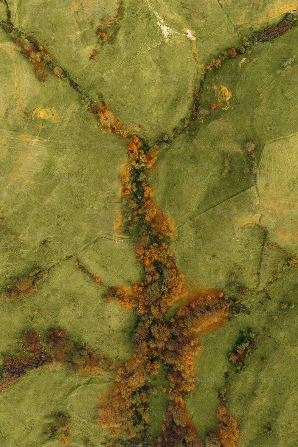 uma vista aérea de um campo verde com árvores