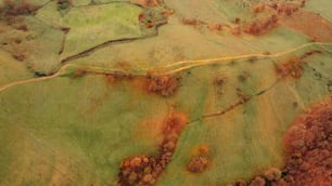 an aerial view of a green field with trees