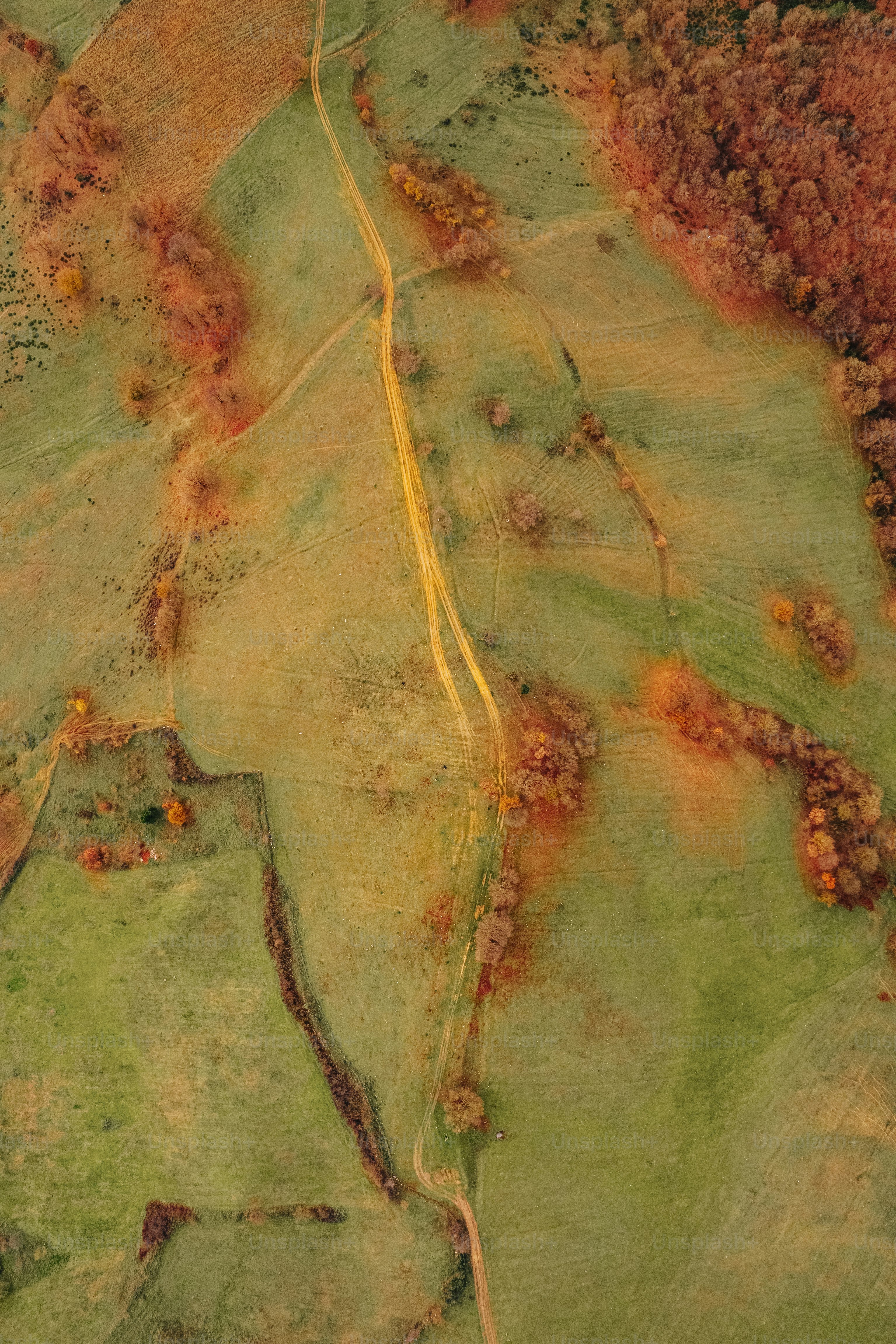 An aerial view of a grassy field with trees photo – From above Image on ...