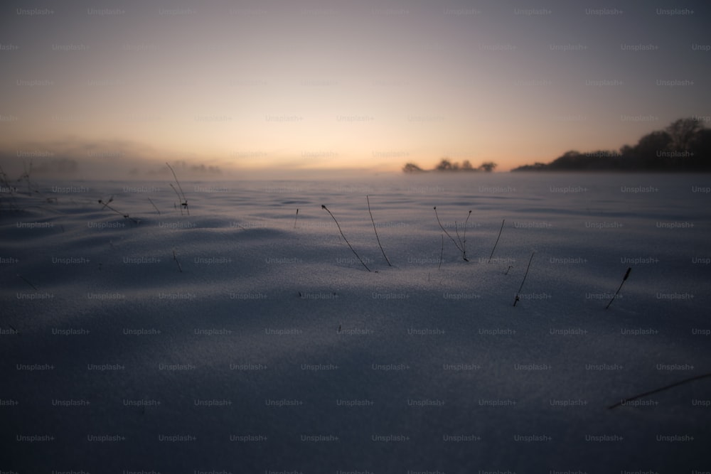 o sol está se pondo sobre um campo nevado