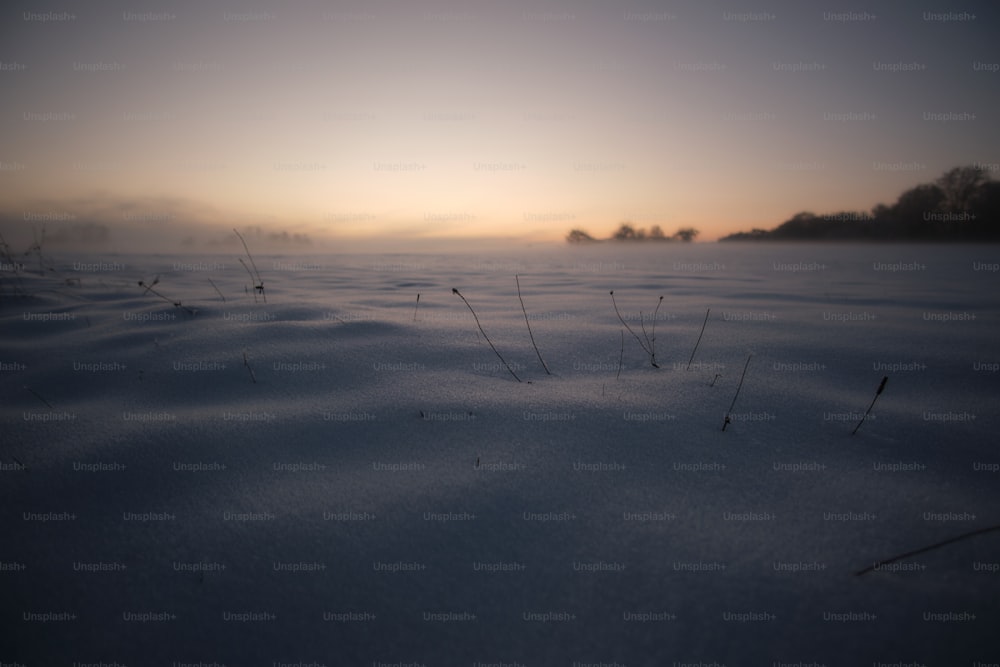 the sun is setting over a snowy field