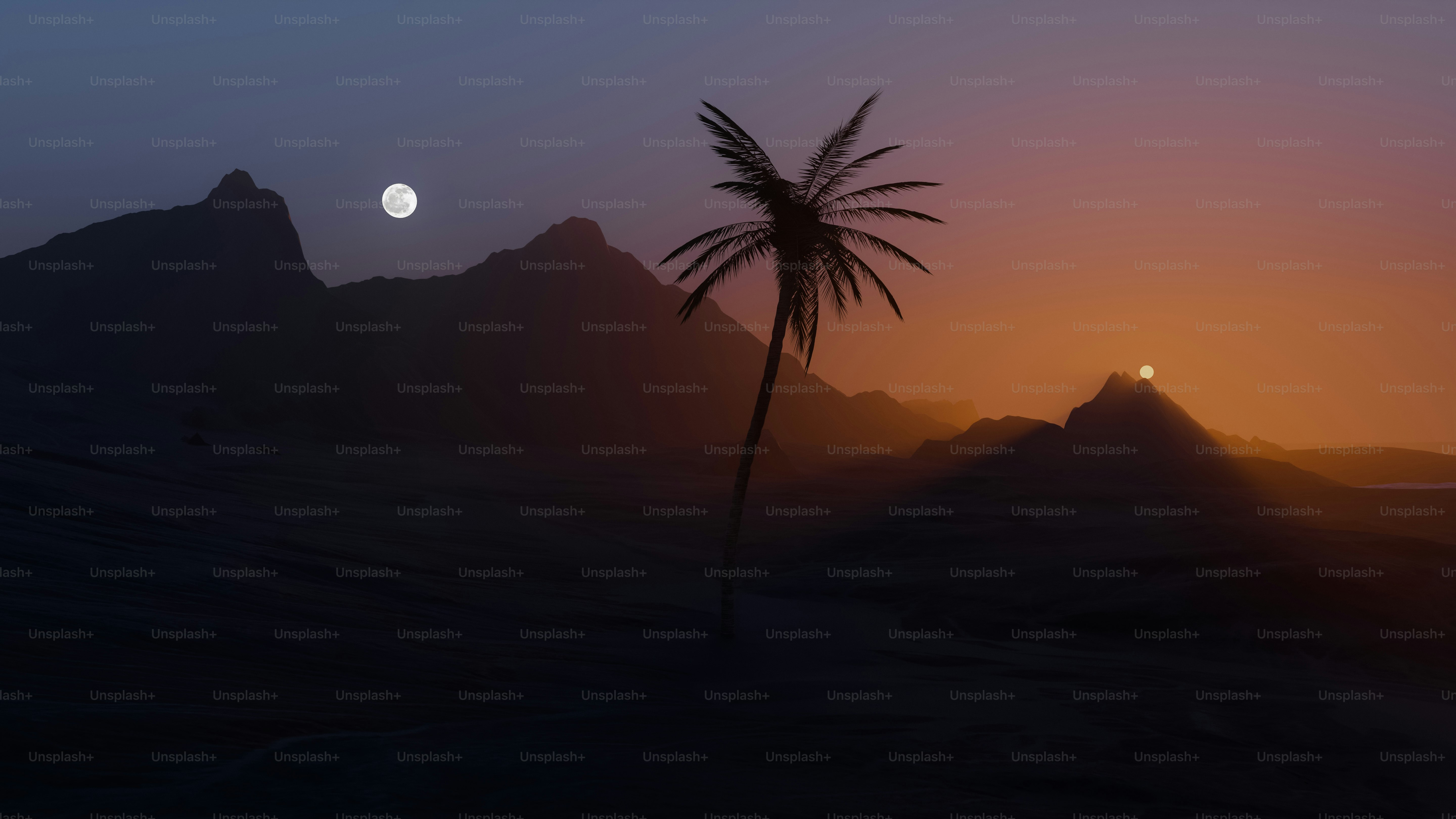 Una palma nel mezzo di un deserto