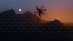 Una palmera en medio de un desierto