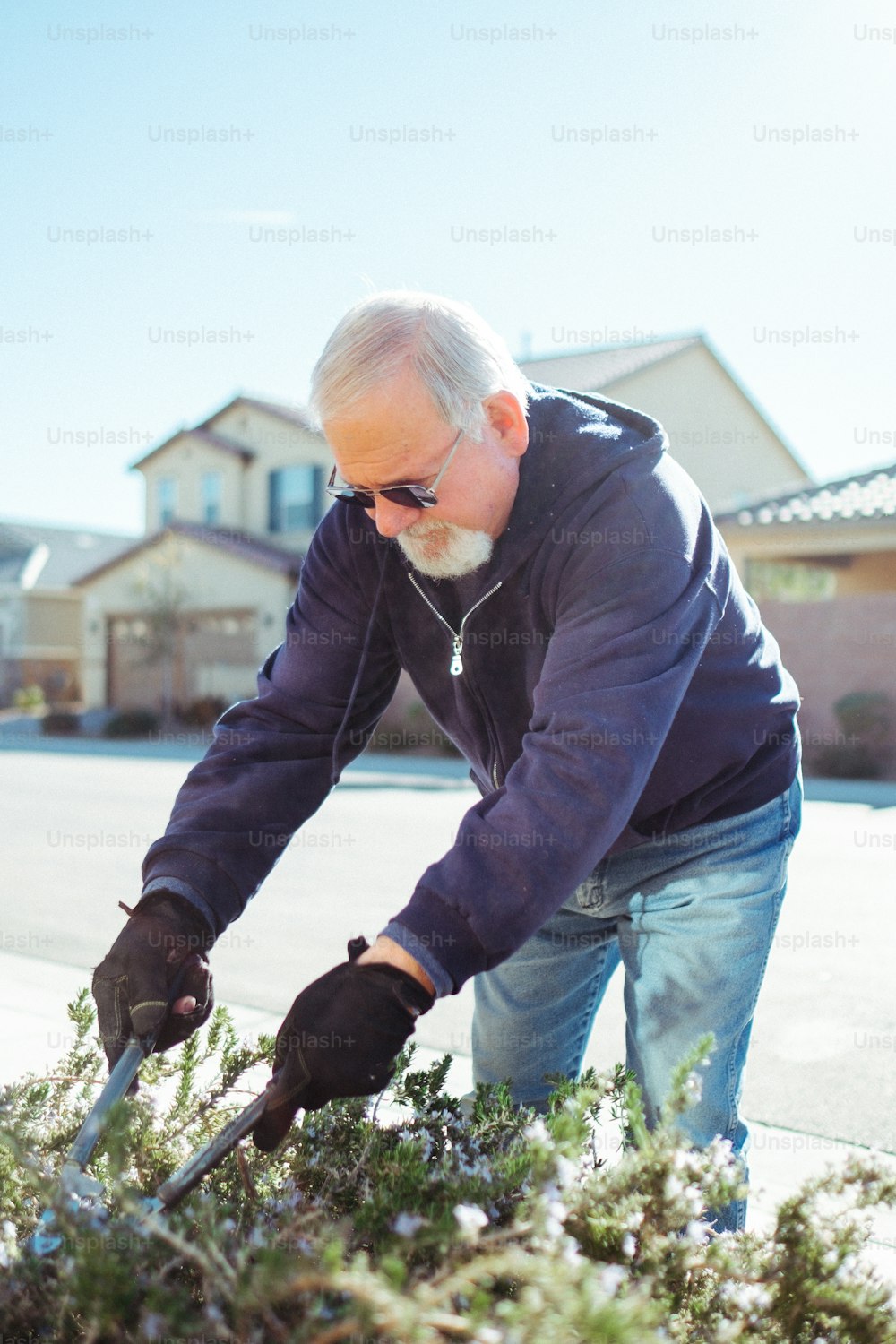 Ein älterer Mann jätet einen Busch mit einem Paar Handschuhen