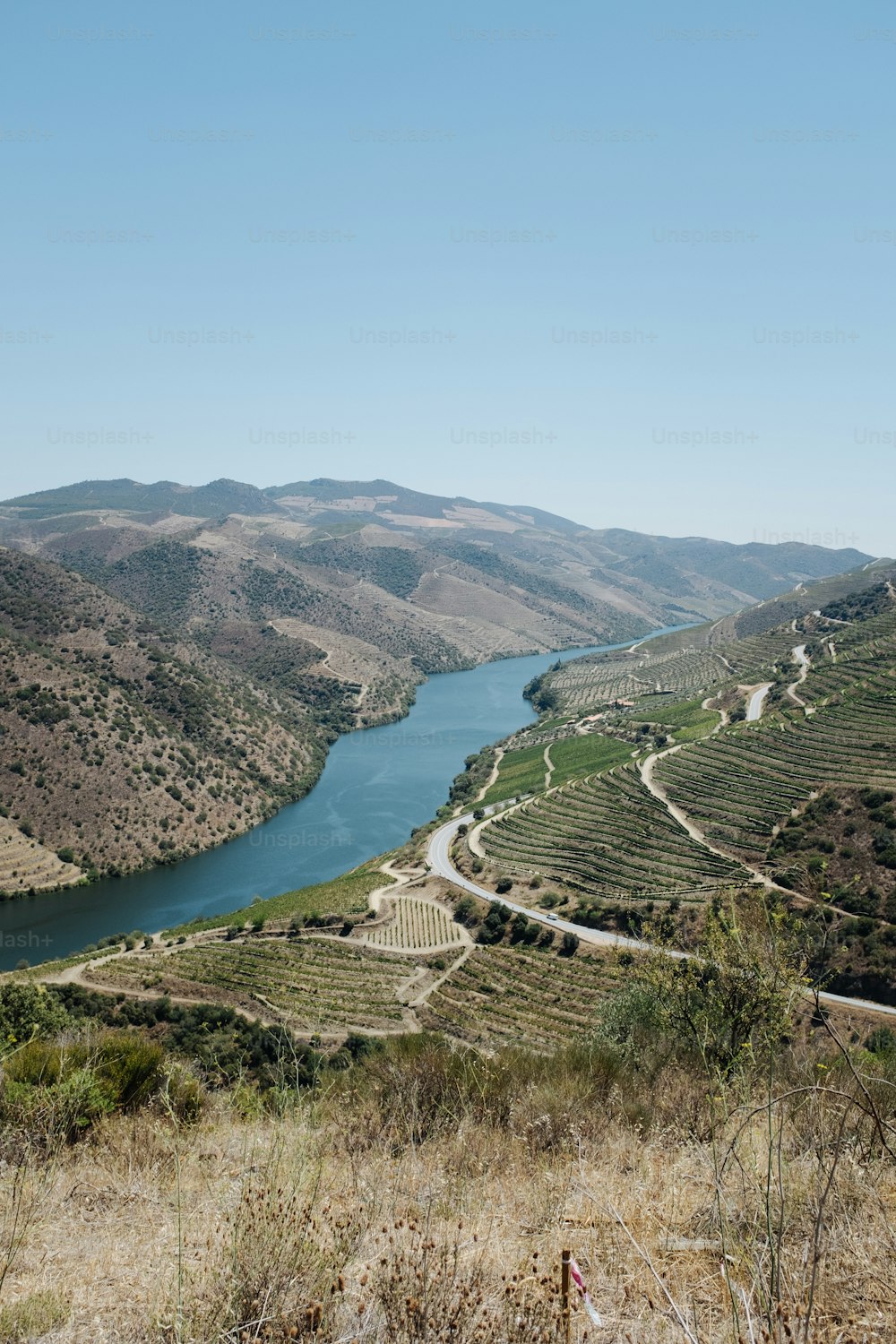 a river running through a lush green valley