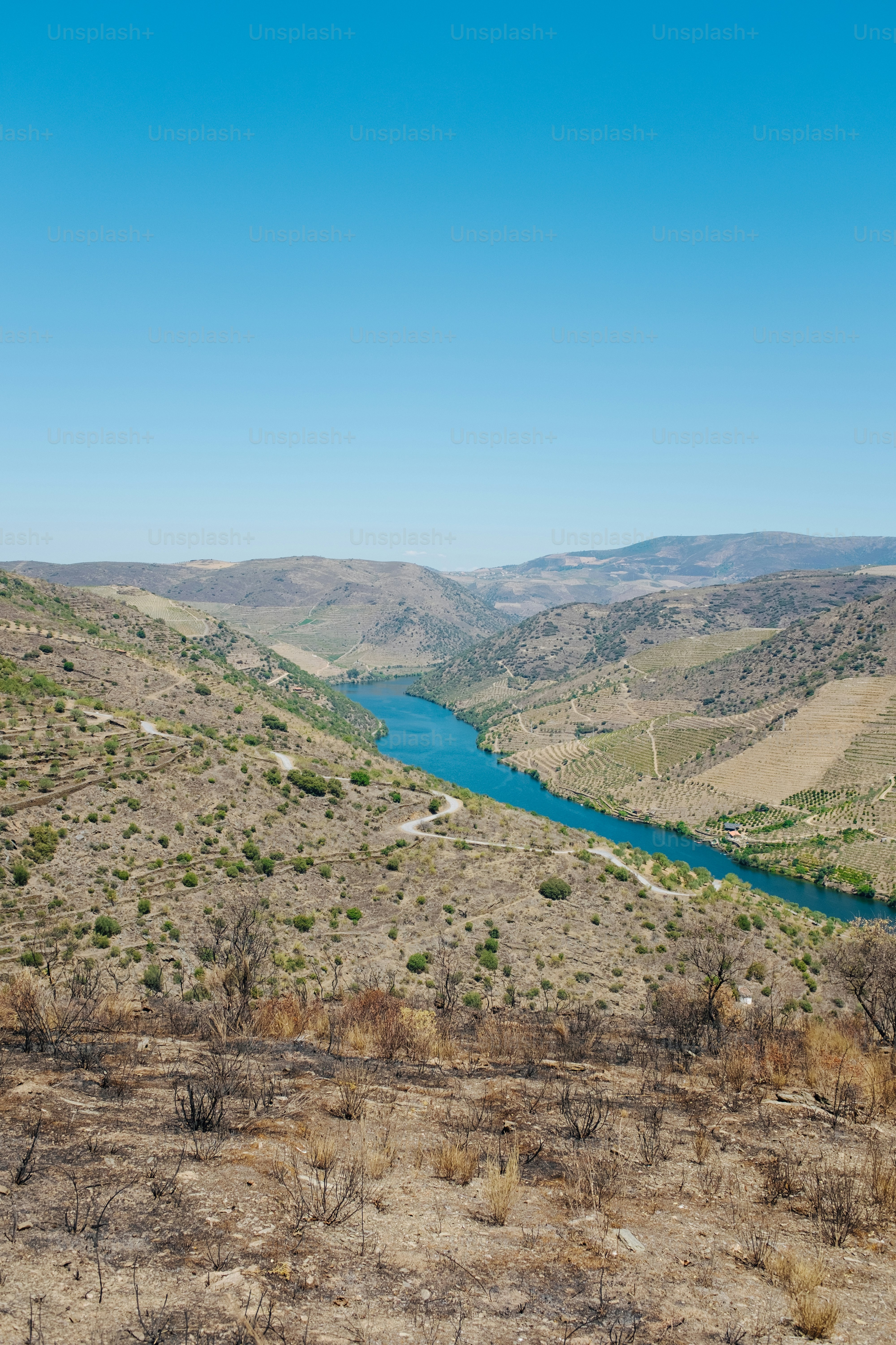 a river in the middle of a dry landscape