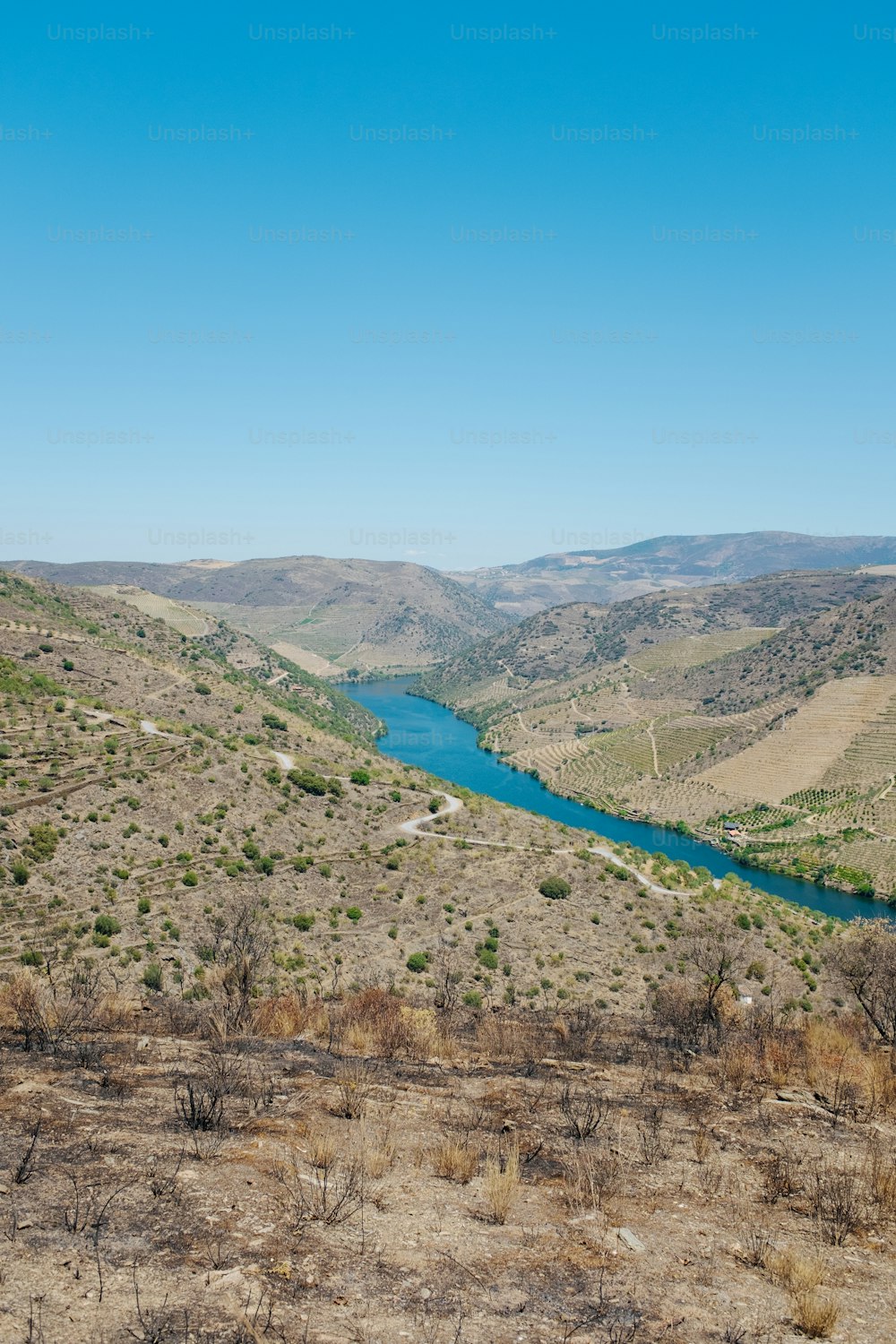 a river in the middle of a dry landscape