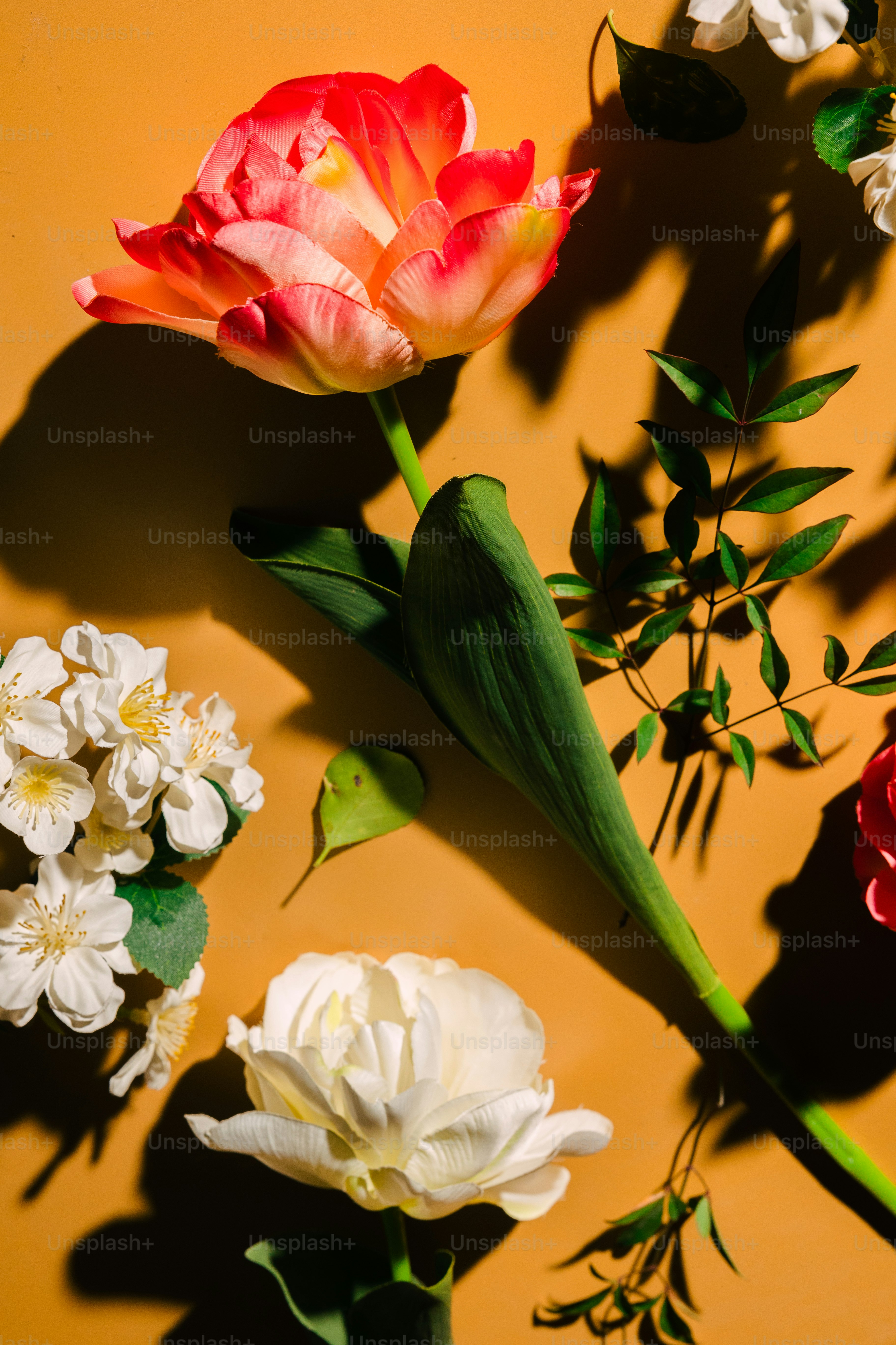 Un grupo de flores sentadas encima de una superficie amarilla