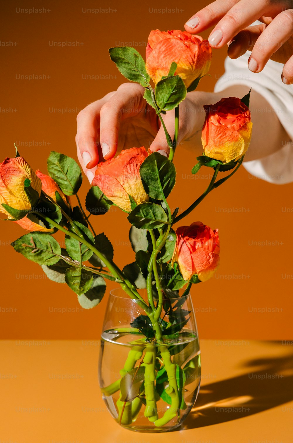 uma pessoa que organiza flores em um vaso em uma mesa