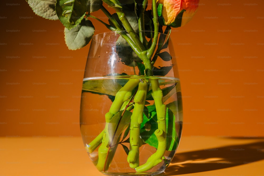 um vaso cheio de água e flores em cima de uma mesa