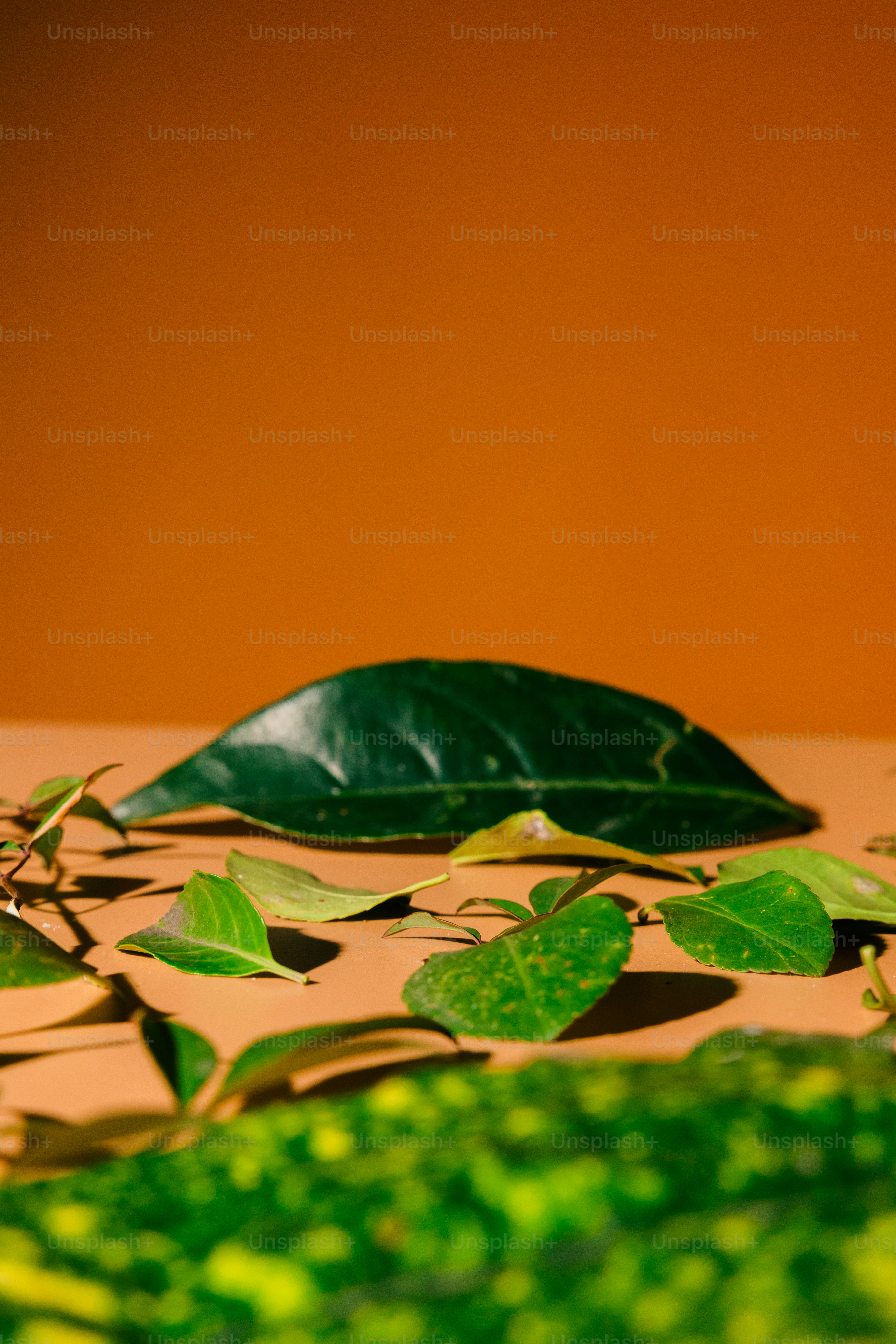 a table topped with lots of green leaves