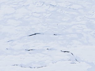 a person skiing down a snow covered slope