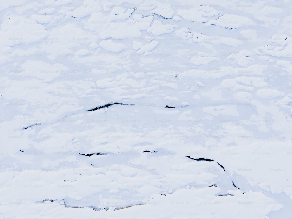 uma pessoa esquiando por uma encosta coberta de neve