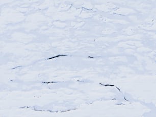uma pessoa esquiando por uma encosta coberta de neve