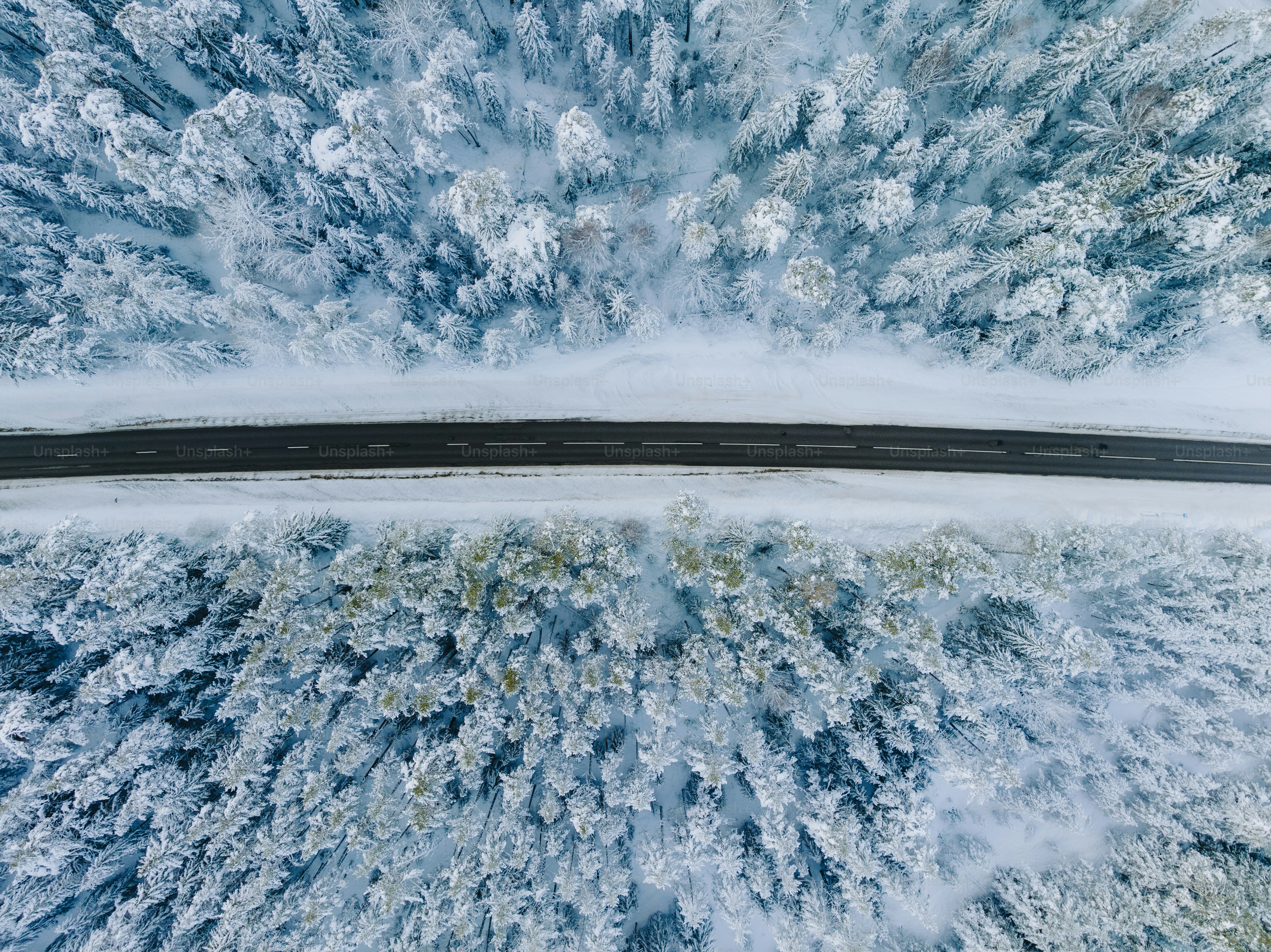 An aerial view of a road surrounded by snow covered trees photo – Empty ...