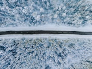 an aerial view of a road surrounded by snow covered trees