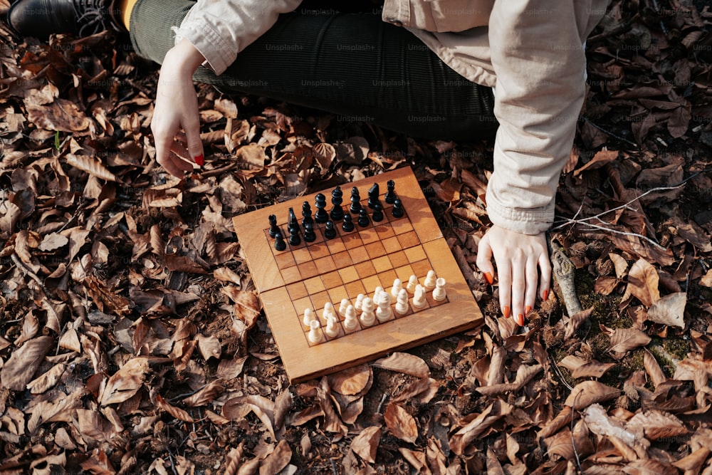 a person playing a game of chess in the woods